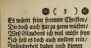 Verzierungsstern